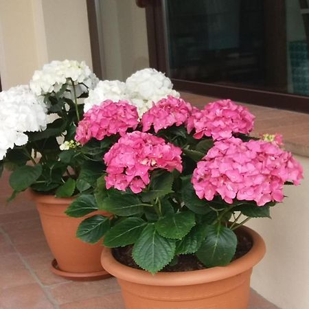 Il Fienile Holiday Home Le Fornacette Ngoại thất bức ảnh